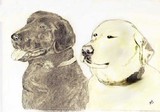 by Jackie Cooper