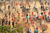 by Thanh Hoang Cong
