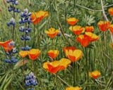 by George Lockwood