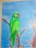 by yubirna paulino