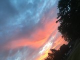 by Makayla Jones