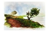 by Rajmohan Ramamoorthi