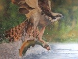 by paul stratton