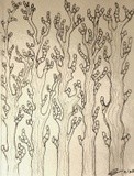 by Angella Reynolds-Screen