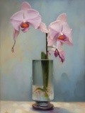 by Mihaela B