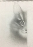 by Regina Malyszko