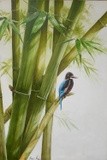 by Manju Kendasinghe