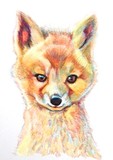 by Adria Gamble-Hanson