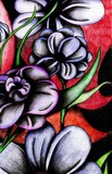 by Amber Larimore