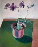 by Steen Djervad