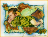 by Katerina Koukiotis