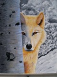 by Kay Meggison