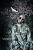 by Susan Carranza