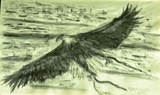by José Ramalhão Fortunato