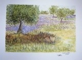 by José Ramalhão Fortunato