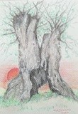 by José Ramalhão Fortunato