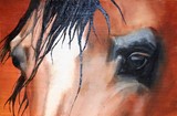by Katie Beltramo