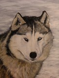 by Belinda Matthews