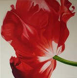 by ria van meijeren