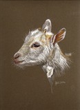 by Jennifer Redstreake