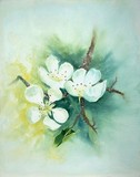 by Marjolein Haaksman