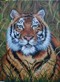 by Kathryn Arruda