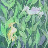 by Kirsten Talmage