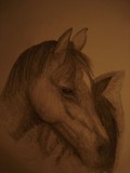by donald penwell