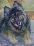 by Robyn Ryan