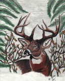 by Mylinda Crane