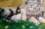 by Mylinda Crane