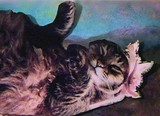 by Brenda Garacci