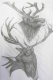 by Adam Kiser