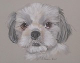 by Joanne Simpson-Connor