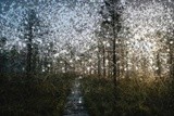 by VELYKIO - gintautas velykis -