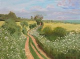by David Raison