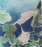 by Dana Bernard Elliott