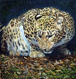by David Ayling