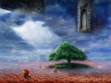 by mariusz zawadzki