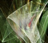 by Lior Goldenberg