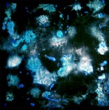 by Heike Schmidt