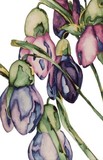 by Mary-Anna Welch