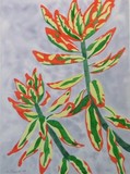 by Sally  Pulford