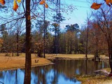 by Johnnie Jumper III
