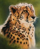 by Barbara Keith