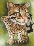 by Barbara Keith