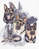 by Barbara Keith
