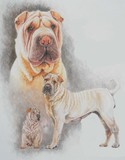 by Barbara Keith