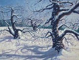 by Scott Niemi