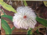by Jenny Preston
